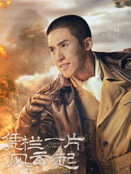 凭栏一片风云起剧情介绍_天天影视