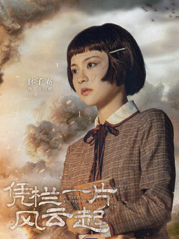 凭栏一片风云起剧情介绍_天天影视