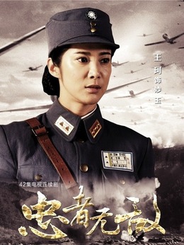 忠者无敌剧情介绍_天天影视