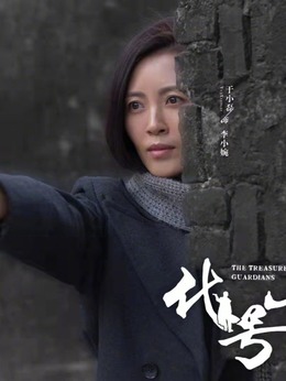 代号·山豹剧情介绍_天天影视