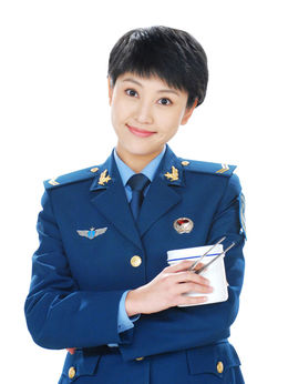 长城红剧情介绍_天天影视