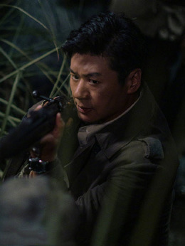 虎胆巍城剧情介绍_天天影视