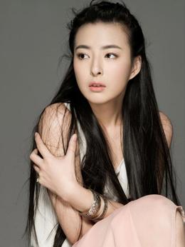 历史的使命剧情介绍_天天影视