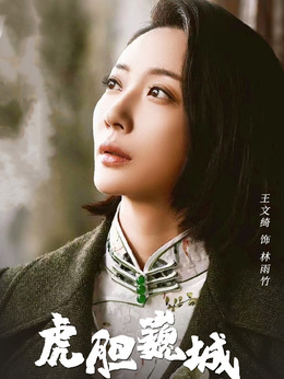 虎胆巍城剧情介绍_天天影视