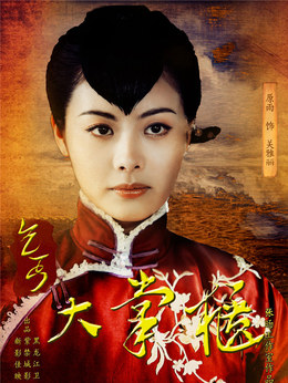 传奇大掌柜剧情介绍_天天影视