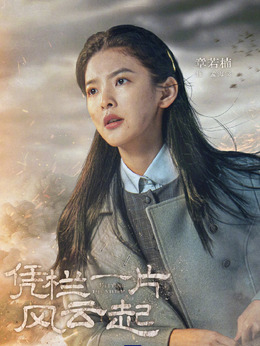 凭栏一片风云起剧情介绍_天天影视