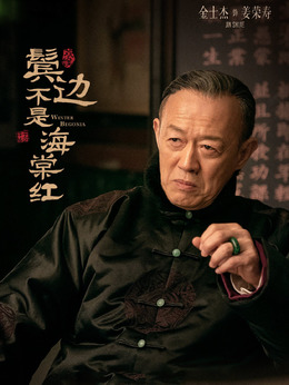 鬓边不是海棠红剧情介绍_天天影视