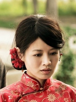 历史的使命剧情介绍_天天影视