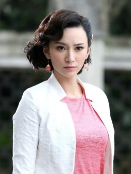 伏击剧情介绍_天天影视