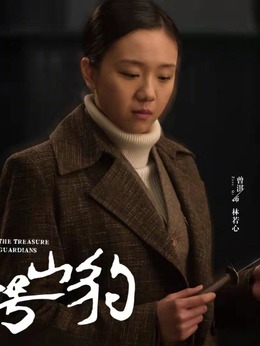 代号·山豹剧情介绍_天天影视