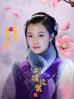 刘墉追案剧情介绍_天天影视