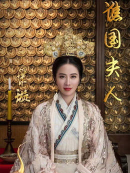 谯国夫人剧情介绍_天天影视