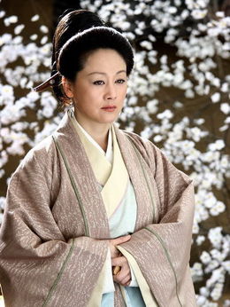 孔雀东南飞剧情介绍_天天影视