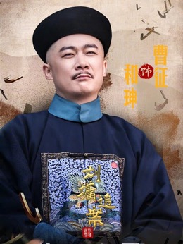 刘墉追案剧情介绍_天天影视