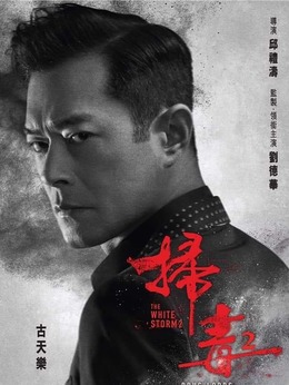 扫毒2：天地对决剧情介绍_天天影视