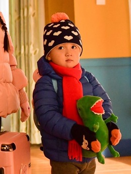 小猪佩奇过大年剧情介绍_天天影视