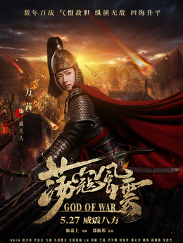 荡寇风云剧情介绍_天天影视