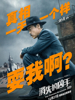 消失的凶手剧情介绍_天天影视