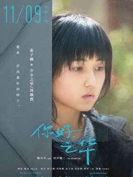 你好，之华剧情介绍_天天影视