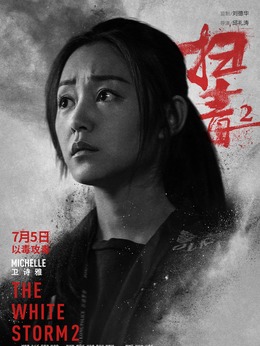 扫毒2：天地对决剧情介绍_天天影视