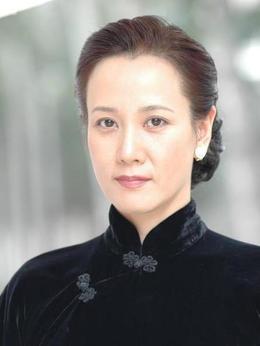 大决战之辽沈战役剧情介绍_天天影视