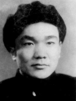 平原游击队剧情介绍_天天影视