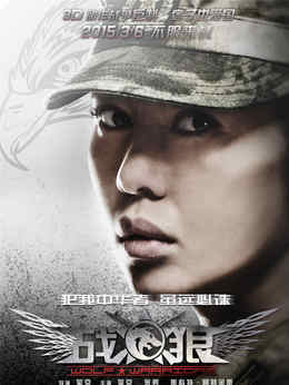 战狼剧情介绍_天天影视