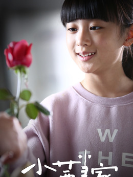 小茜当家剧情介绍_天天影视