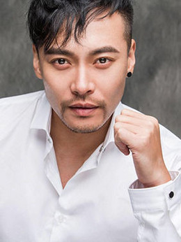 侠义金枪客剧情介绍_天天影视