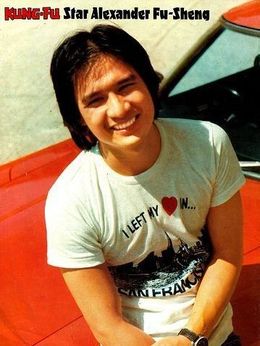 冷血十三鹰剧情介绍_天天影视