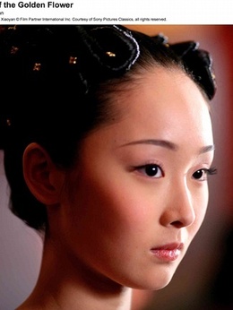 满城尽带黄金甲剧情介绍_天天影视