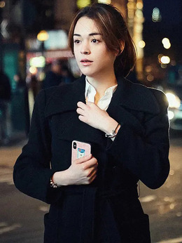 合法伴侣剧情介绍_天天影视