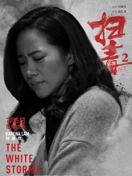 扫毒2：天地对决剧情介绍_天天影视