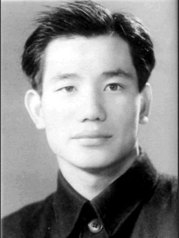 平原游击队剧情介绍_天天影视