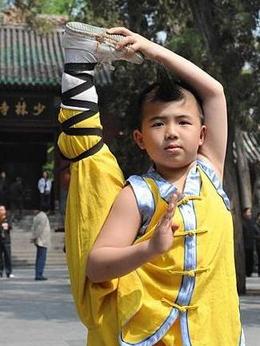 少林四小龙剧情介绍_天天影视