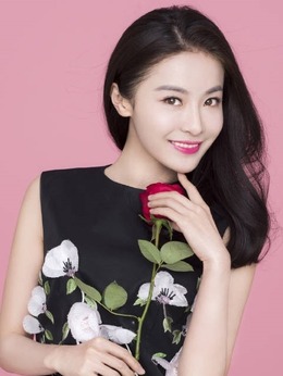 第一大案剧情介绍_天天影视