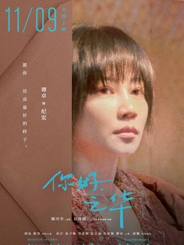 你好，之华剧情介绍_天天影视