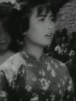 地雷战剧情介绍_天天影视