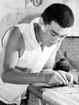 地雷战剧情介绍_天天影视