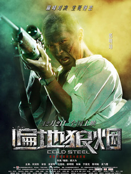 遍地狼烟剧情介绍_天天影视