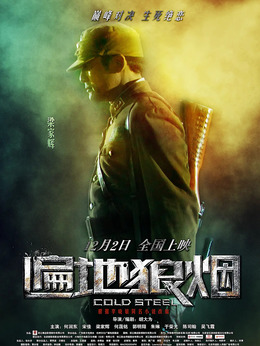 遍地狼烟剧情介绍_天天影视