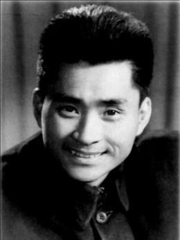 平原游击队剧情介绍_天天影视