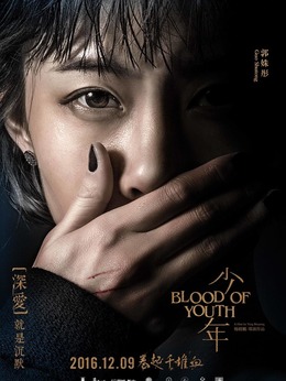 少年剧情介绍_天天影视