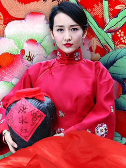 花火花红剧情介绍_天天影视