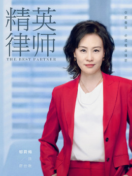 精英律师剧情介绍_天天影视