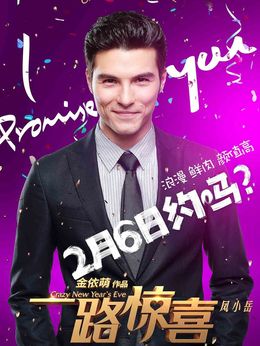 一路惊喜剧情介绍_天天影视