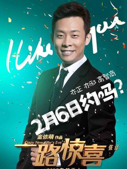 一路惊喜剧情介绍_天天影视