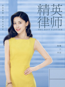 精英律师剧情介绍_天天影视