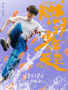 燃野少年的天空剧情介绍_天天影视