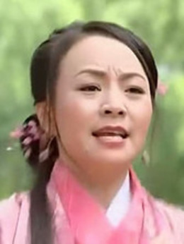 无敌县令剧情介绍_天天影视